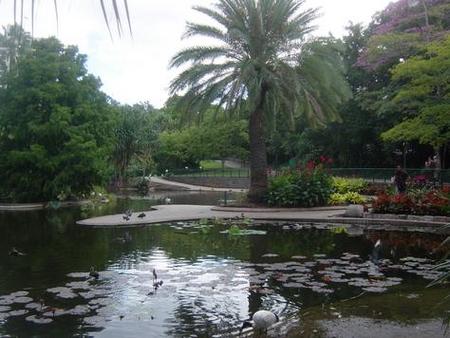 Brisbane City Botanic Gardens - Sunshine Coast Tourism 0