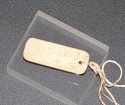 Sunshine Coast Tourism