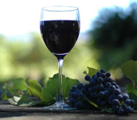 Lion Mill Vineyards - Holiday Sunshine Coast 0