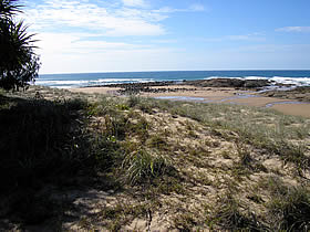 Deepwater National Park - Holiday Sunshine Coast 0