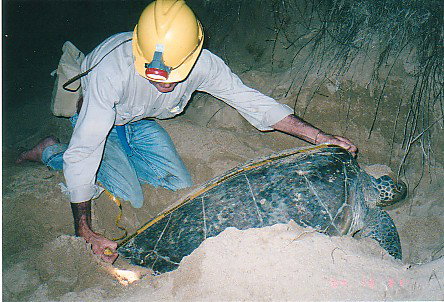 Footprints Adventures - Sunshine Coast Tourism 2