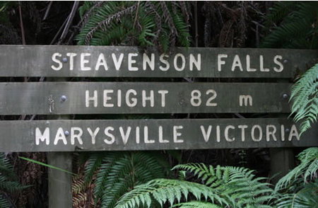Stevensons Falls - Sunshine Coast Tourism 0