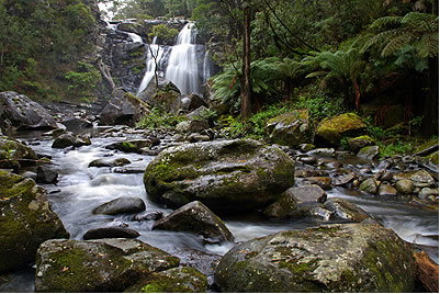 Stevensons Falls - Sunshine Coast Tourism 2