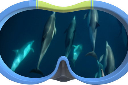 Dolphin Swim Australia - Holiday Sunshine Coast 3