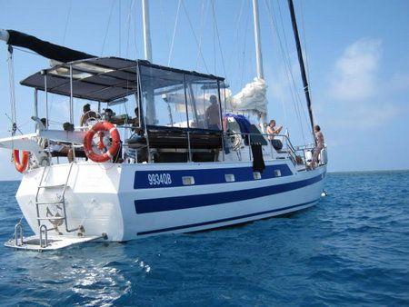 Coral Sea Dreaming Dive And Sail - Holiday Sunshine Coast 3