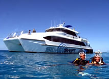 Silver Swift - Holiday Sunshine Coast 0