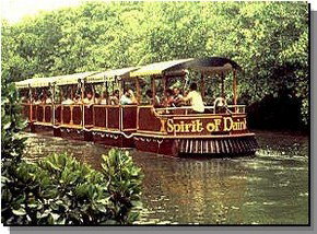Daintree Rainforest River Trains - Sunshine Coast Tourism 0