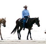 Ride the Beach - Holiday Sunshine Coast