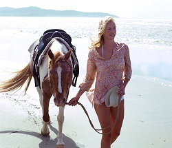 Ride The Beach - Sunshine Coast Tourism 3