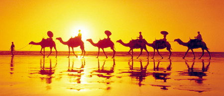 Banksia Adventures - Holiday Sunshine Coast 1