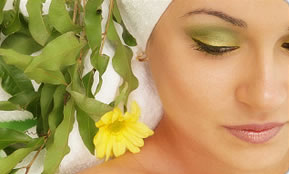 Indica Spa - Holiday Sunshine Coast 1