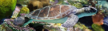 Melbourne Aquarium - Holiday Sunshine Coast 1