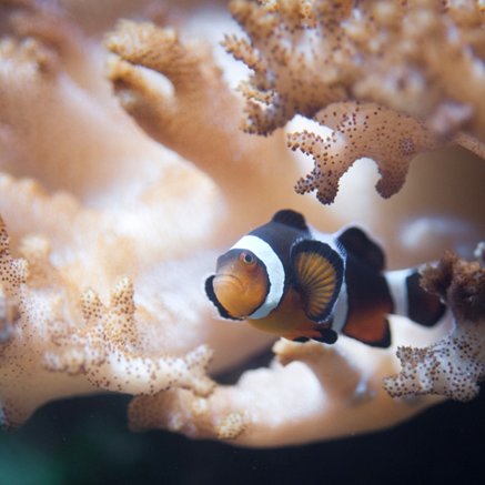 Melbourne Aquarium - Holiday Sunshine Coast 2