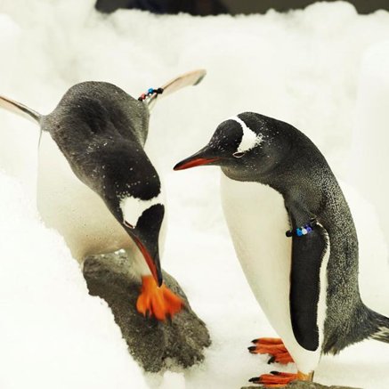 Melbourne Aquarium - Holiday Sunshine Coast 3