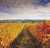 Link Tours - Sunshine Coast Tourism