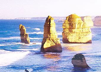 Bunyip Tours - Sunshine Coast Tourism 3