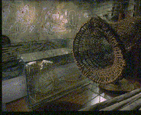 Australian Museum - Sunshine Coast Tourism 2