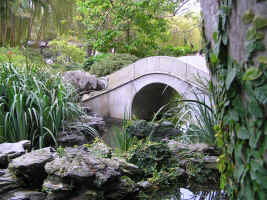 Chinese Garden Of Friendship - Holiday Sunshine Coast 1