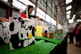 Eveleigh Markets - Holiday Sunshine Coast 1