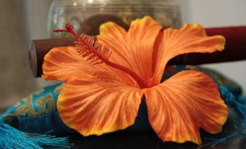 Annasha Day Spa Retreat - Holiday Sunshine Coast 5