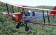 Tigermoth Joy Rides - thumb 0