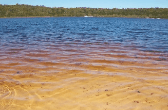 Beach Trekkers North Stradbroke Island - Holiday Sunshine Coast 1