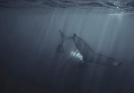 Eleven40 Gallery - Sunshine Coast Tourism 4