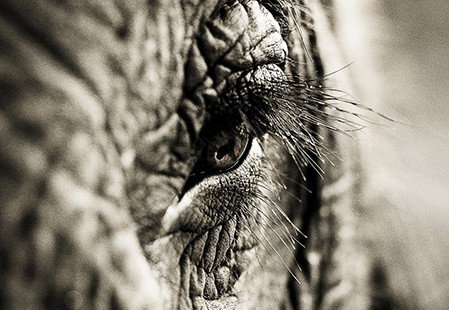 Eleven40 Gallery - Sunshine Coast Tourism 5