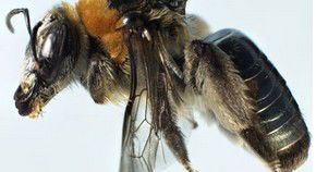 Western Australian Museum - Holiday Sunshine Coast 0