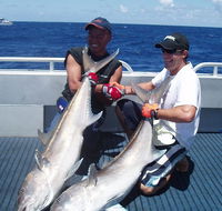Blue Juice Charters - Holiday Sunshine Coast