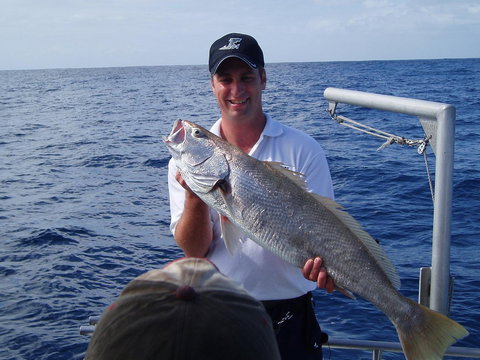 Blue Juice Charters - Sunshine Coast Tourism 1