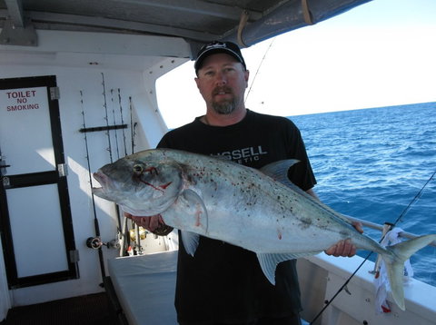 Blue Juice Charters - Sunshine Coast Tourism 3