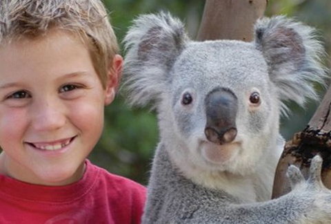 Featherdale Wildlife Park - Sunshine Coast Tourism 1