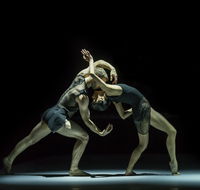 Sydney Dance Company - Holiday Sunshine Coast