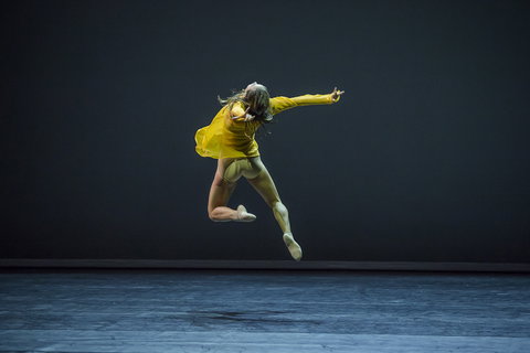 Sydney Dance Company - Holiday Sunshine Coast 1