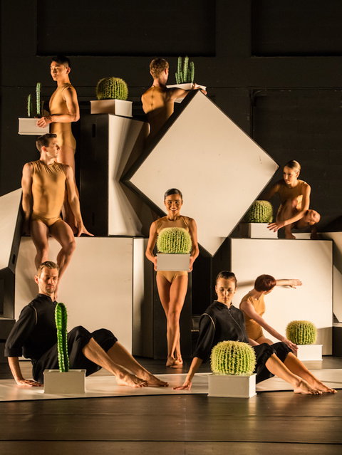 Sydney Dance Company - Holiday Sunshine Coast 3