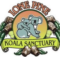 Lone Pine Koala Sanctuary - Holiday Sunshine Coast