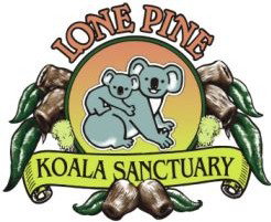 Lone Pine Koala Sanctuary - Holiday Sunshine Coast 0