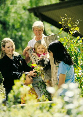 Cleland Wildlife Park - Holiday Sunshine Coast 5
