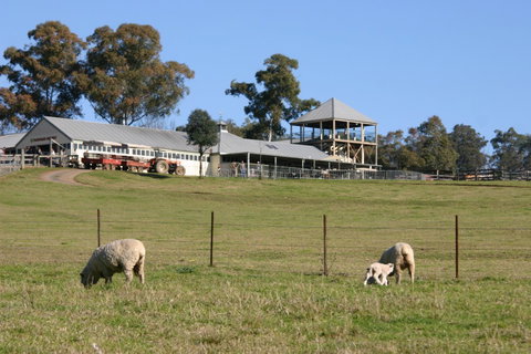 Calmsley Hill City Farm - Holiday Sunshine Coast 3