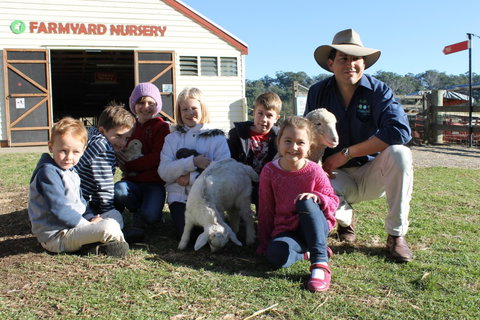 Calmsley Hill City Farm - Holiday Sunshine Coast 4