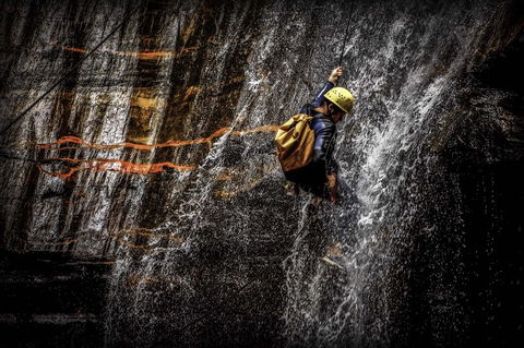 Blue Mountains Adventure Company - Holiday Sunshine Coast 2