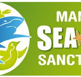Manly SEA LIFE Sanctuary - Holiday Sunshine Coast