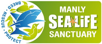 Manly SEA LIFE Sanctuary - Holiday Sunshine Coast 0