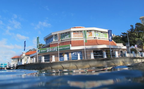 Manly SEA LIFE Sanctuary - Holiday Sunshine Coast 2