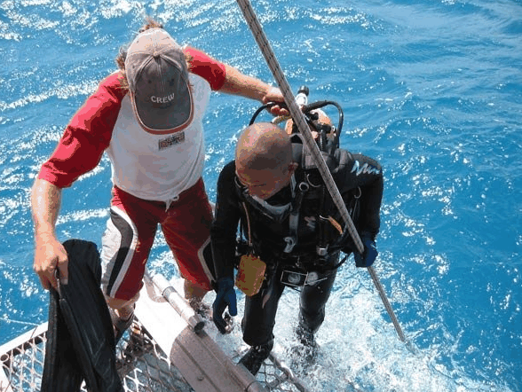 Big Cat Reality - Holiday Sunshine Coast 2