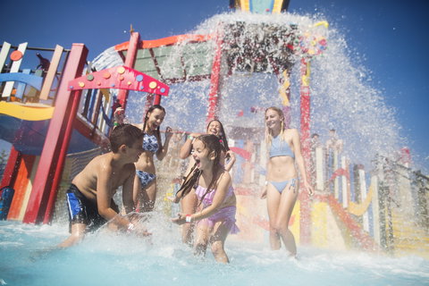 Funfields - Holiday Sunshine Coast 10