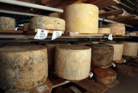 Witches Chase Cheese Co - Holiday Sunshine Coast 3