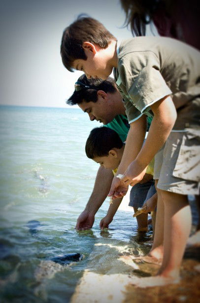 Aquascene Fish Feeding Sanctuary - Sunshine Coast Tourism 3