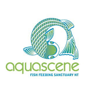 Aquascene Fish Feeding Sanctuary - Sunshine Coast Tourism 5